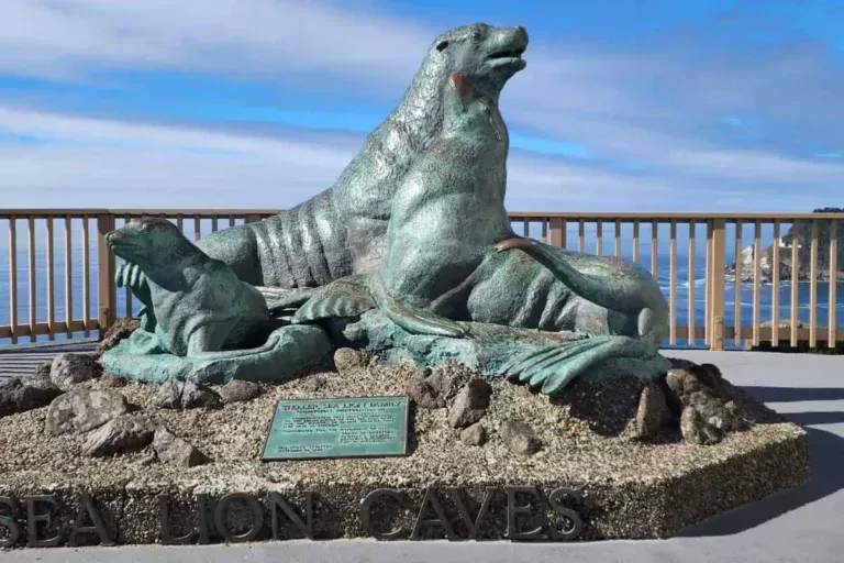 Sea Lion Caves Oregon History, Ticket Price, Things to Do, Webcam, and Best Time to Visit