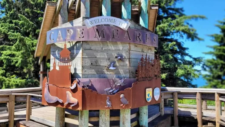 Best Things to Do in Cape Meares, Oregon: Lighthouse, Scenic Viewpoint, and Scenic Drive