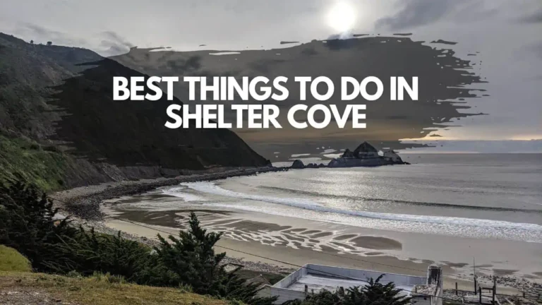 7 Best Things to Do in Shelter Cove CA, The Black Sands Beach in California