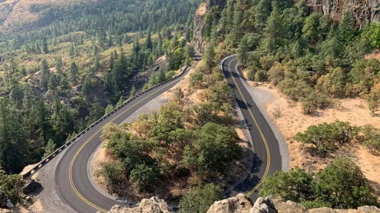 Rowena Crest Viewpoint: A Scenic and Wildflower Wonderland in Oregon’s Columbia Gorge